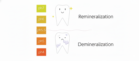 The Complete Guide to Tooth Remineralization: How to Rebuild Your Enamel Naturally