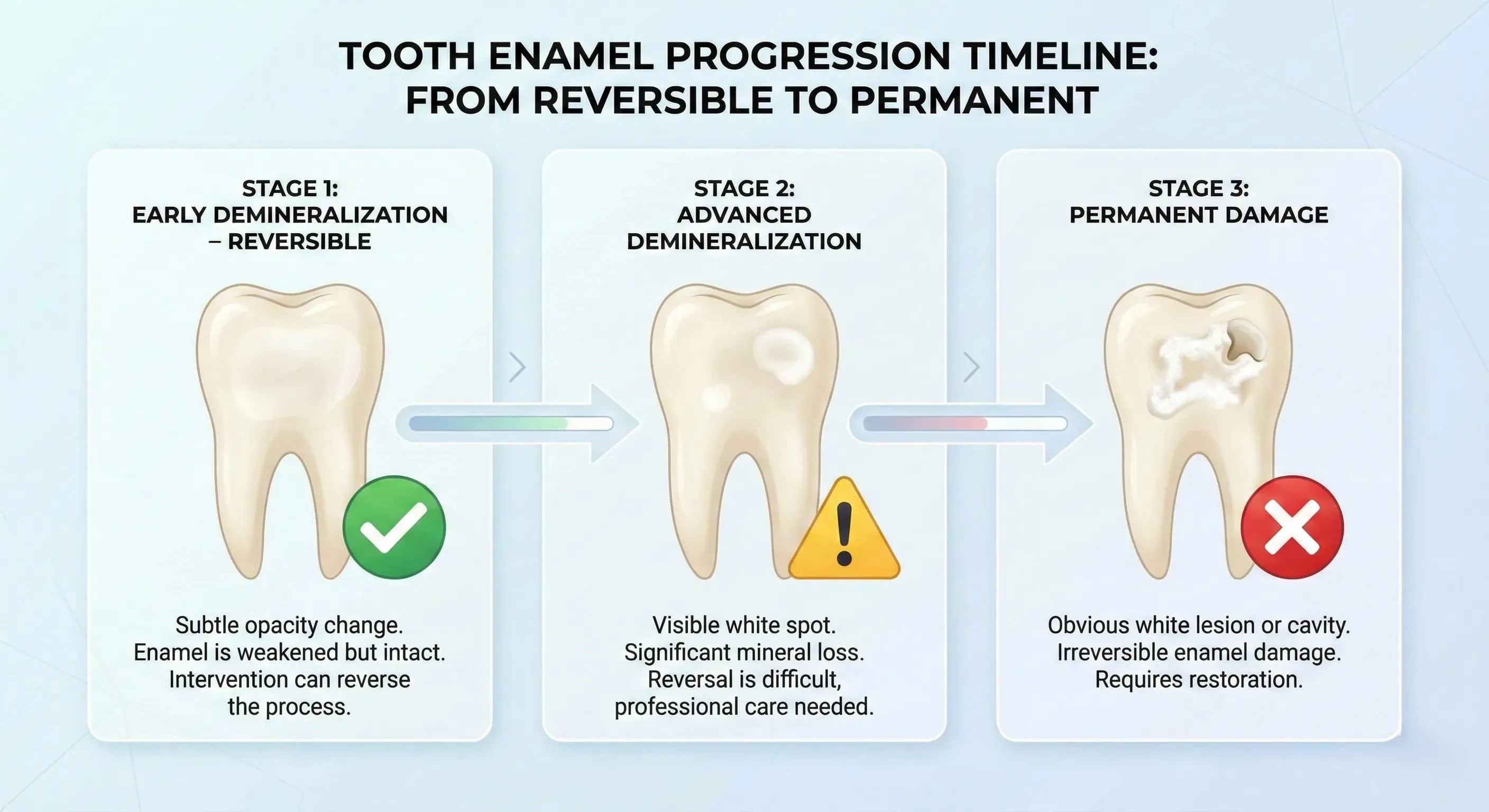 Tooth enamel progression timeline